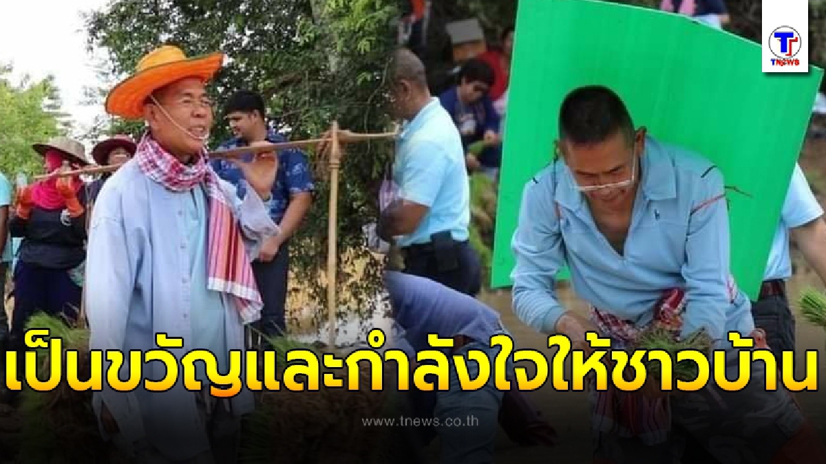 พ่อเมืองเลย หาบกล้า นำทีมลงแขกดำนา ช่วยชาวบ้านที่ถูกน้ำป่าซัด ไร่นาเสียหาย