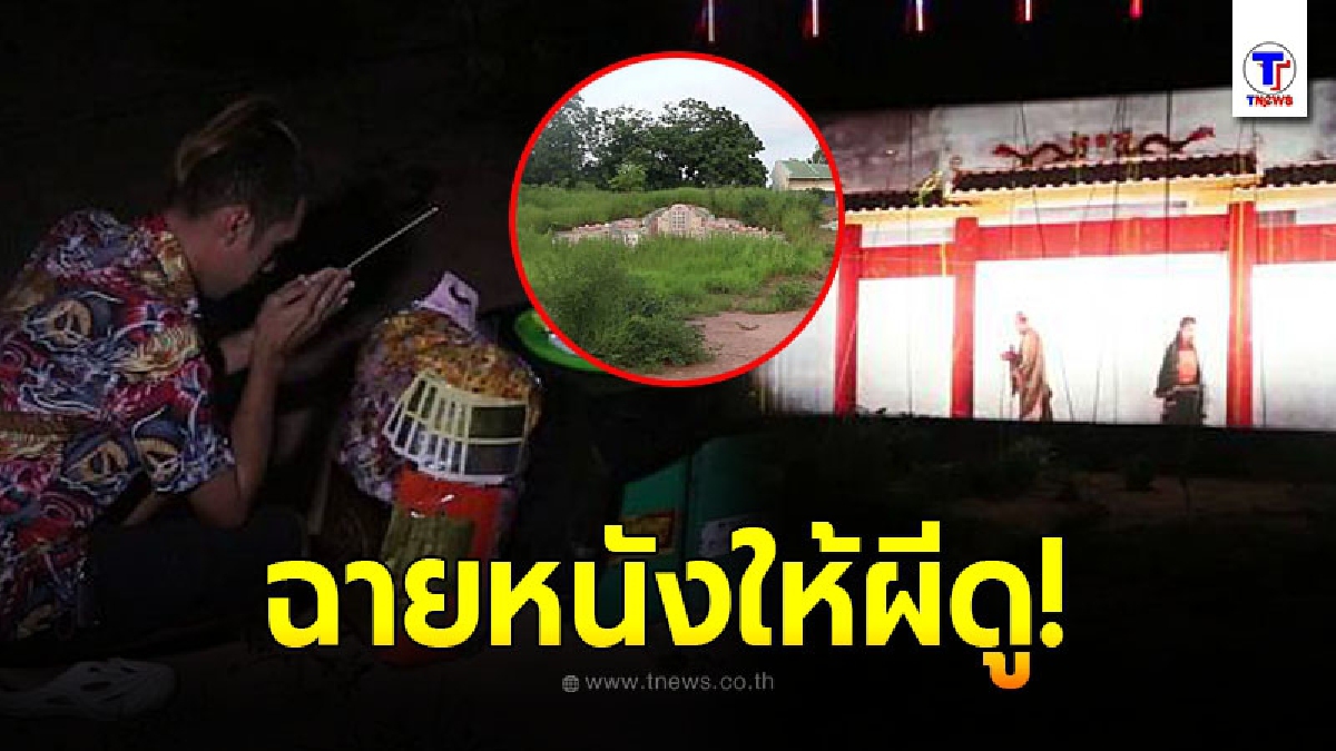 หนุ่มนักธุรกิจใจบุญ จ้างหนังกลางแปลง ฉายสุสานโคราช 10 คืน ด้วยเงื่อนไขสุดแปลก