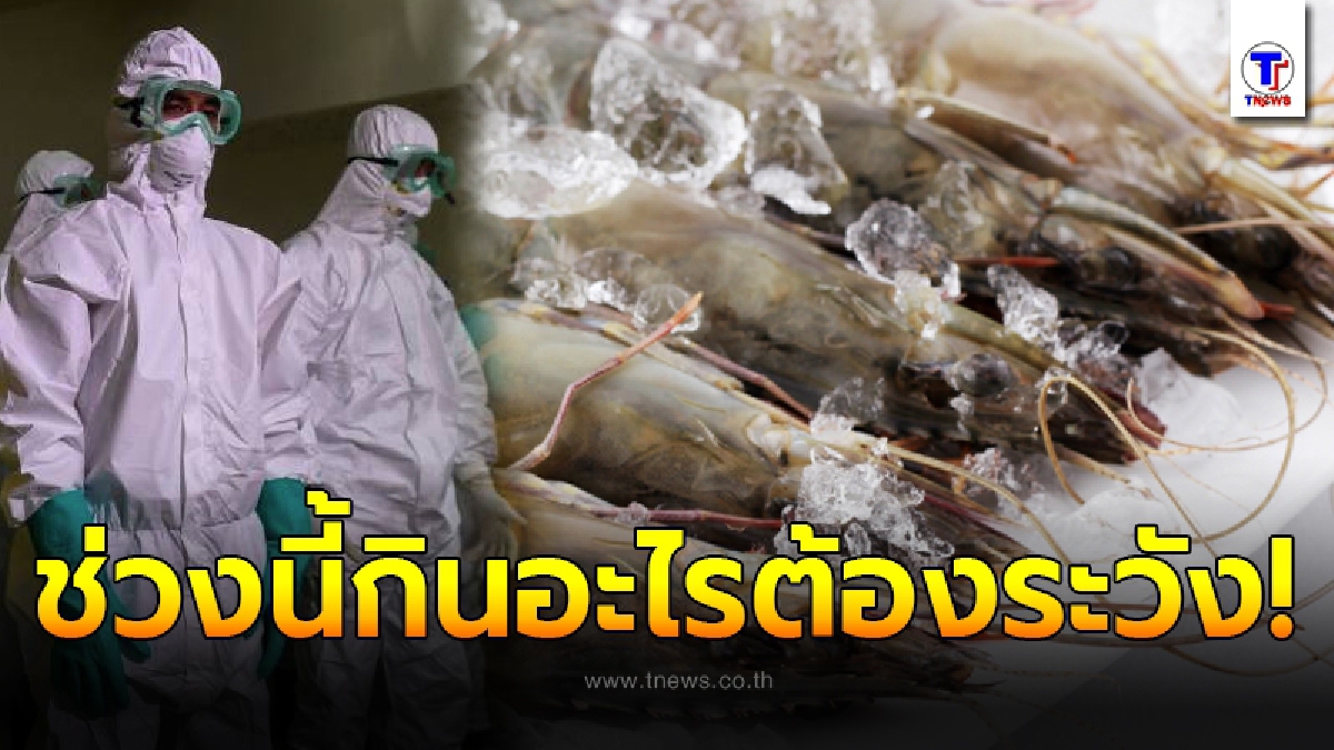 จีนผวาอีกระลอก พบไวรัสโคโรน่าสายพันธ์ใหม่ บนบรรจุภัณฑ์ "กุ้งแช่แข็ง"