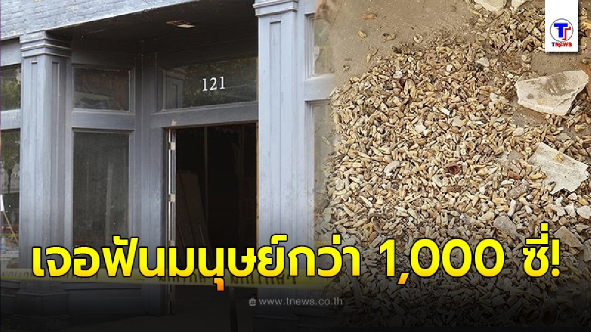 คนงานก่อสร้างผวา เจอฟันมนุษย์กว่า 1,000 ซี่ ร่วงลงมาต่อหน้าต่อตา หลังทุบผนังตึกเก่าแก่