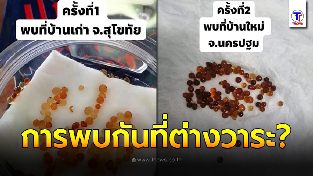 หนุ่มยิ่งกว่าแปลกใจ เจอเม็ดปริศนาโผล่ภาพในบ้าน ระยะเวลาและสถานที่ต่างกัน 1 ปี