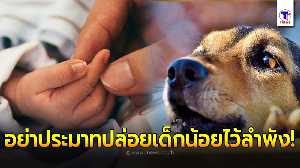 ป้าประมาท ปล่อยหลานวัย 7 วัน อยู่ใกล้ประตูบ้านเพียงลำพัง หันกลับมาอีกที ทารกน้อยถูกหมางับมือขาด