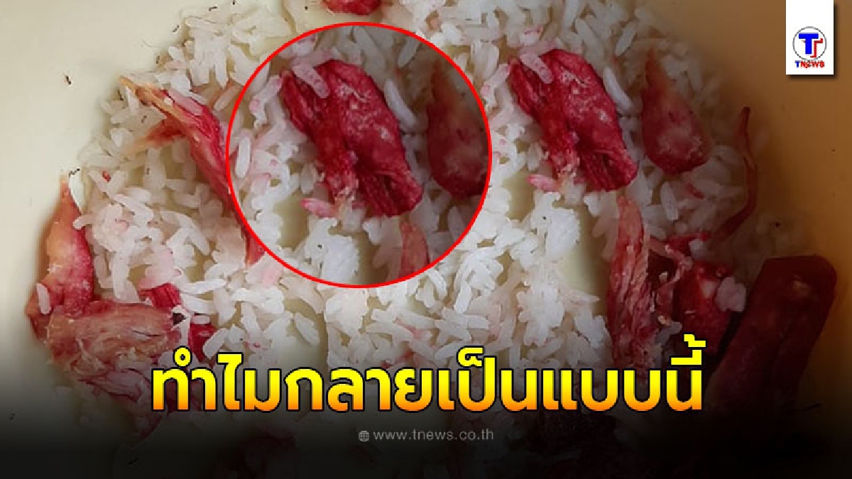 หนุ่มตกใจ ต้มเนื้อไก่คลุกข้าวไว้ค้างคืน เช้ามาเปลี่ยนเป็นสีแดงทั้งถ้วยรีบสำรวจหมาที่เลี้ยงไว้