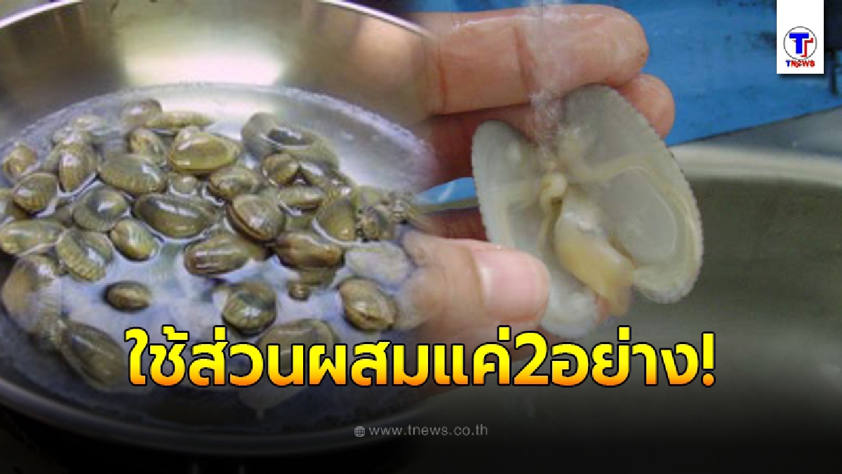 วิธีล้างหอยลายให้ขาวสะอาด เพียงใช้ส่วนผสมเพียง 2 อย่าง โดยไม่เสียคุณค่าทางอาหาร