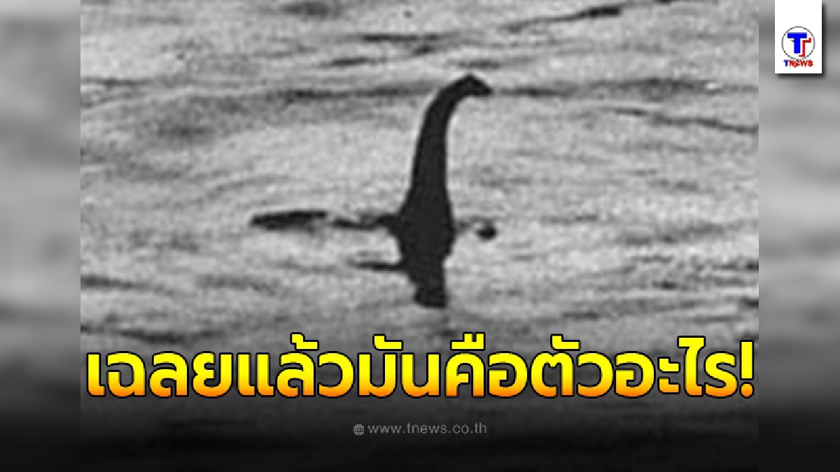 นักวิทย์ฯเฉลยแล้ว “เนสซี” ตำนานสัตว์ประหลาดแห่งล็อกเนส แท้จริงมันเป็นตัวอะไร