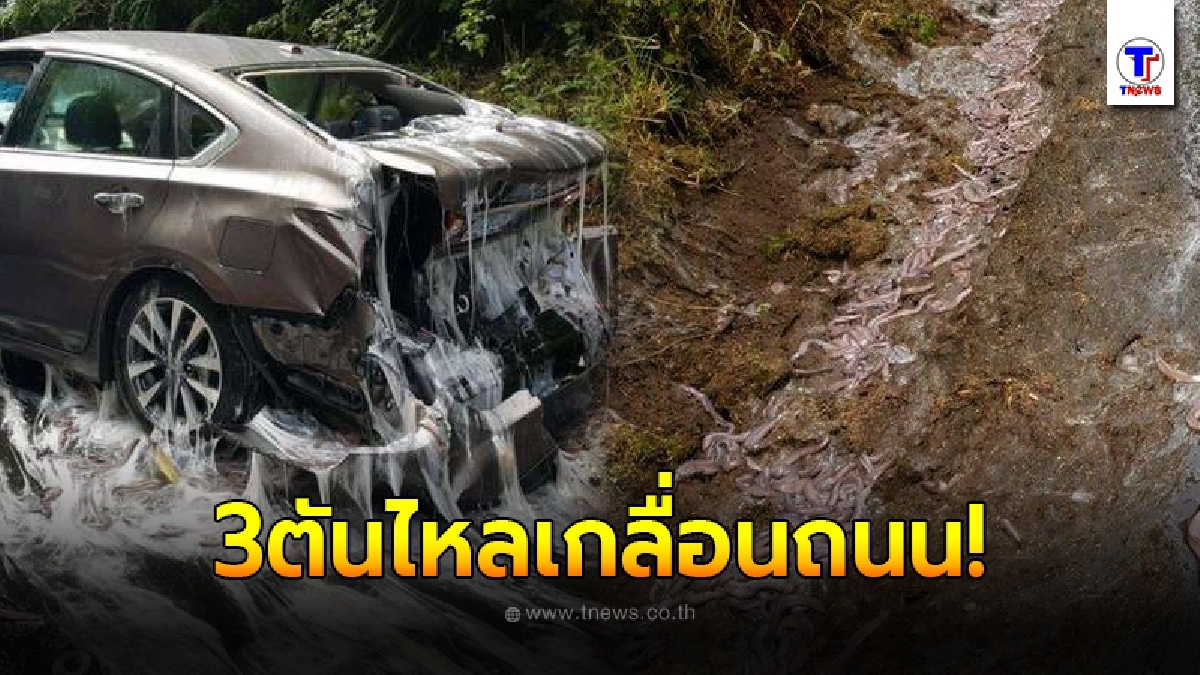 เกิดเหตุรถบรรทุก พลิกคว่ำกลางถนน ชาวบ้านผวา เมื่อมีของเหลว พร้อมสิ่งมีชีวิตบางอย่างเคลื่อนไหวออกมากว่า 3 ตัน