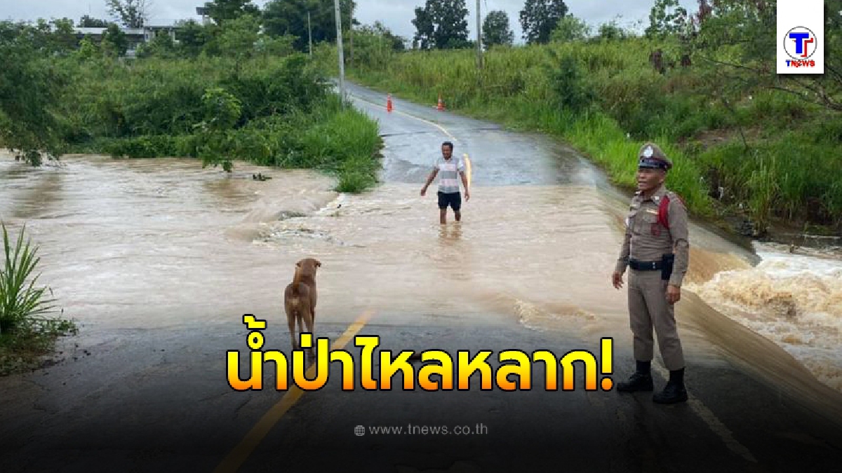 เกิดเหตุน้ำป่าไหลหลาก ด้านหลังอำเภอวังน้ำเขียว เจ้าหน้าที่ติดป้าย ห้ามผ่าน