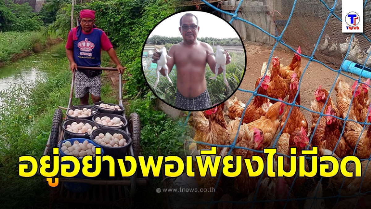 ผญ.เส สร้างชีวิตในฝัน ทำเกษตรแบบผสมผสาน เก็บไข่ ผัก กิน เหลือขายสร้างรายได้เข้าครอบครัว