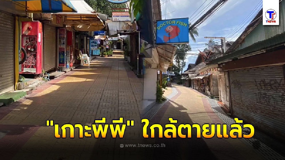 โผล่ภาพล่าสุด เกาะพีพี ใกล้ตายแล้ว ไม่มีใครมาเหลียวแล