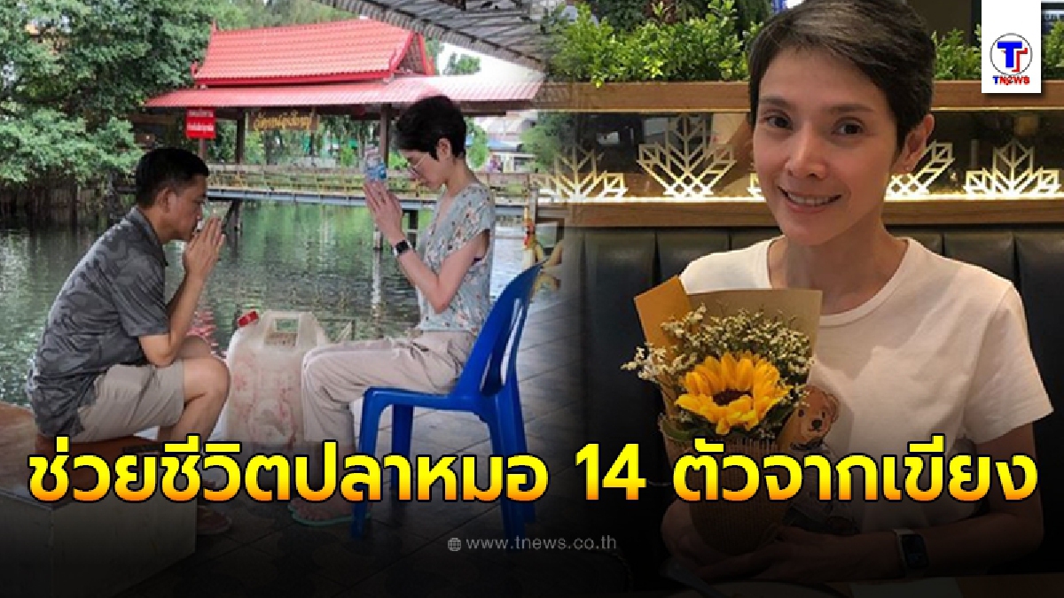 นิ้ง กุลสตรี มั่นสร้างกุศล  ทำบุญปล่อยชีวิตสัตว์ ขอซื้อปลาหมอ  14 ตัว จากเขียงที่กำลังจะถูกขอดเกล็ด