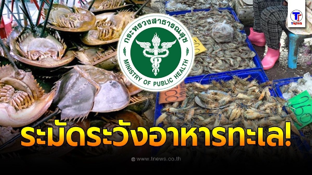 กรมควบคุมโรค เตือนประชาชนระมัดระวังการรับประทานอาหารทะเล