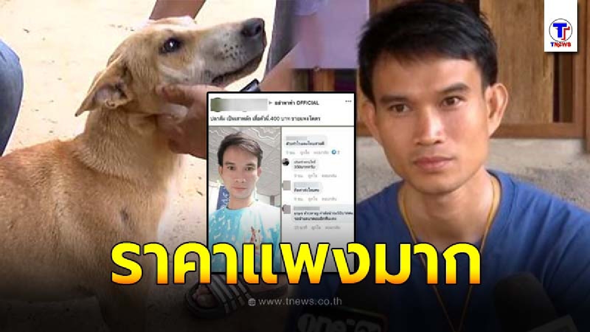 ชาวเน็ตเดือด โผล่ถล่มยับ หลังน้าแตโพสต์เสื้อปลาส้ม