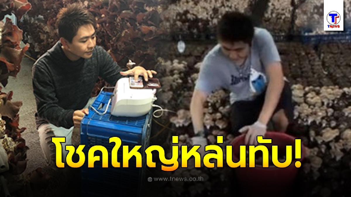 หนุ่มไต้หวัน ลืมเชื้อเพาะเห็ด ไว้ในรถนาน 2 วัน กลับไปดูอีกที เจอแจ็คพอตใหญ่