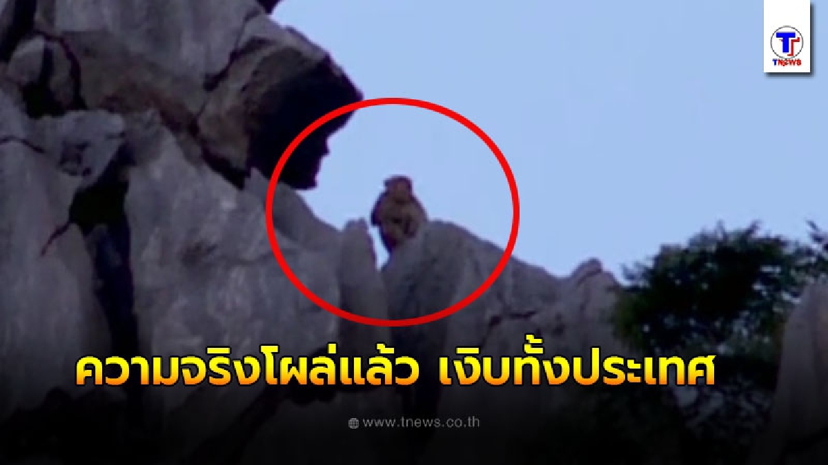 เฉลยแล้ว ภาพฮือฮาบนเขาหน่อ ไม่ใช่ พญาวานร