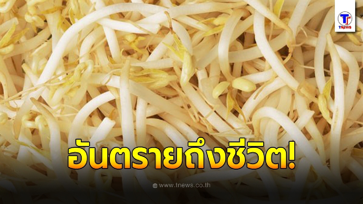 เลี่ยงได้เลี่ยง กินถั่วงอกดิบ อาจมีอันตรายถึงชีวิต