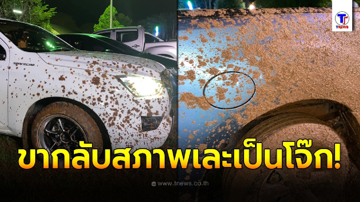 หนุ่มประกาศเตือนใครซื้อรถใหม่อย่าขับไปเที่ยวงานวัด ขากลับสภาพเละคนหันมองกันทั้งจังหวัด