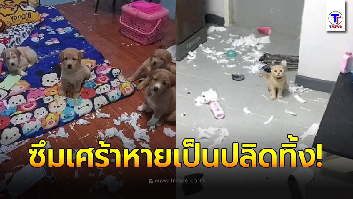 หนุ่มเคยเป็นโรคซึมเศร้า มีคนแนะนำให้หาหมา-แมวมาเลี้ยง ล่าสุดโรคซึมเศร้าหายเป็นปลิดทิ้ง