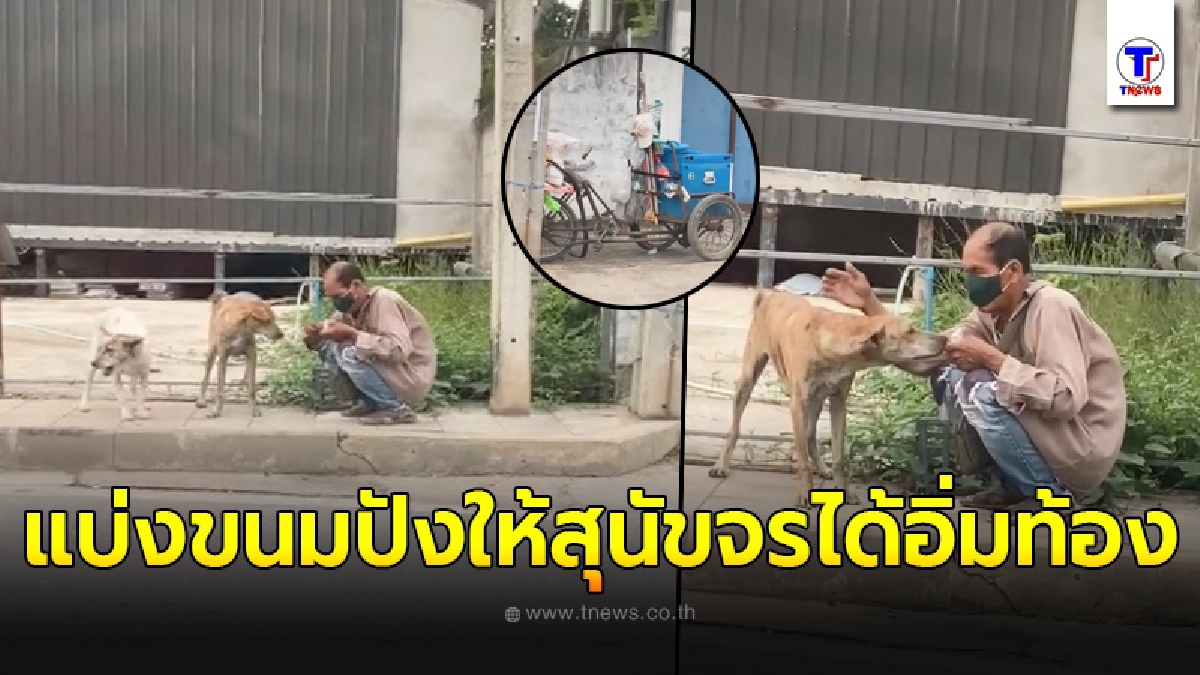 กราบน้ำใจลุงเข็นไอติมขาย ยอมแบ่งขนมปังเพียงชิ้นเดียวให้สุนัขจรจัดได้อิ่มท้อง
