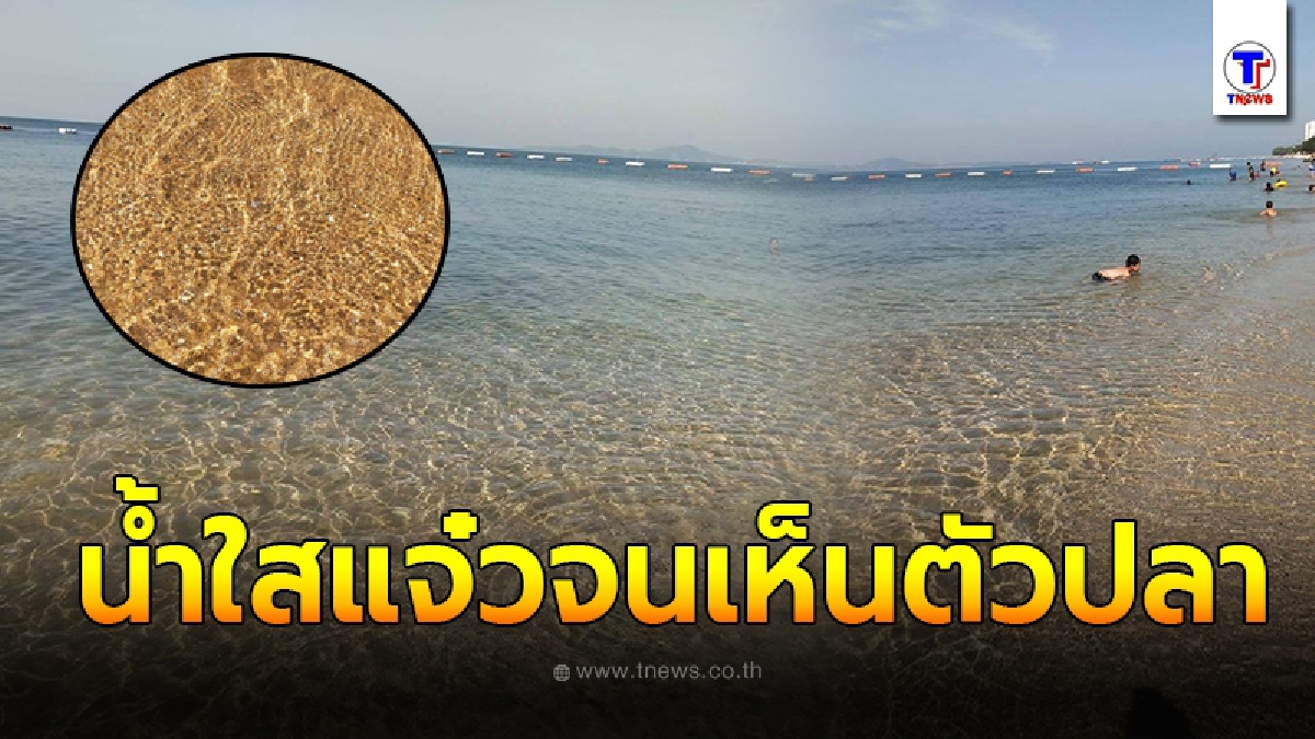 เผยภาพหาดจอมเทียนน้ำใสแจ๋ว จนต้องร้องว้าวดังๆ นึกว่าอยู่เกาะมัลดีฟ
