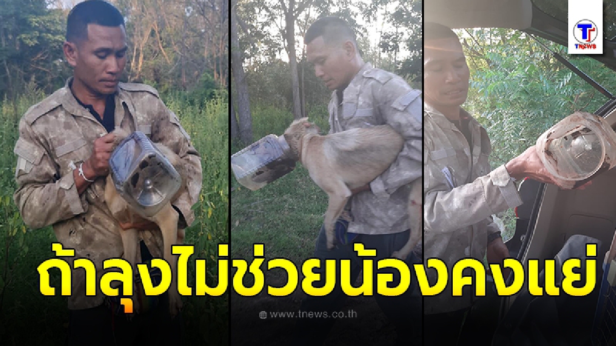 กราบหัวใจ คุณลุงเข้าช่วยเหลือจับสุนัขหัวติดขวดโหล 2 อาทิตย์ ก่อนส่งต่อผู้ใจบุญพาไปโรงพยาบาล