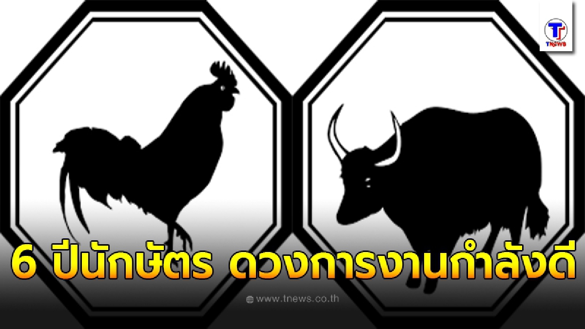 6 ปีนักษัตร ดวงการงานกำลังจะกลับมาดี จะได้เงินจากการตั้งใจทำงานมากขึ้น