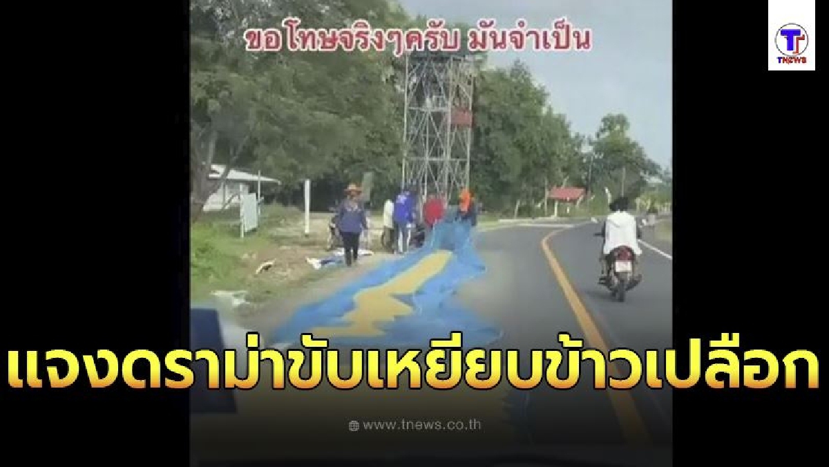 หนุ่มทนไม่ไหว เเจงปมดราม่า ขับรถเหยียบข้าวเปลือกชาวนาที่เอามาตากบนถนน