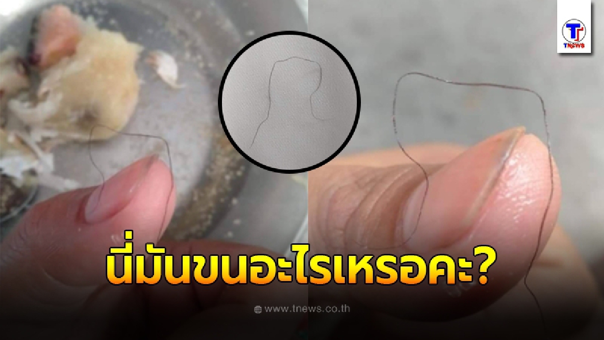 สาวซื้อข้าวต้มมัดจากตลาดเทศบาลมากิน กำลังเอร็ดอร่อย ดันเจอขนปริศนา