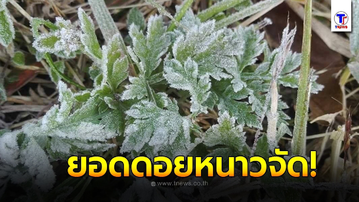 กรมอุตุฯ เผย เหนือ-อีสาน มีอากาศเย็นถึงหนาว ยอดดอยหนาวจัดมีน้ำค้างแข็งบางพื้นที่