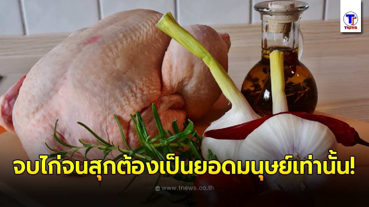 อ.เจษฎ์ เฉลยแล้ว ตบไก่ 23,000 ครั้ง ทำให้เนื้อสุกได้จริงหรือไม่