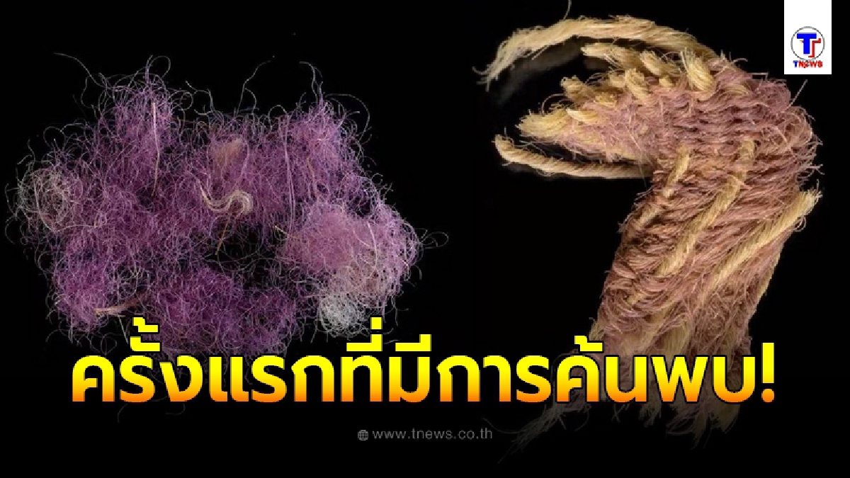 อิสราเอล ค้นพบ ผ้าย้อมราชวงศ์ 3,000 ปี ที่เคยปรากฏในคัมภีร์ไบเบิล