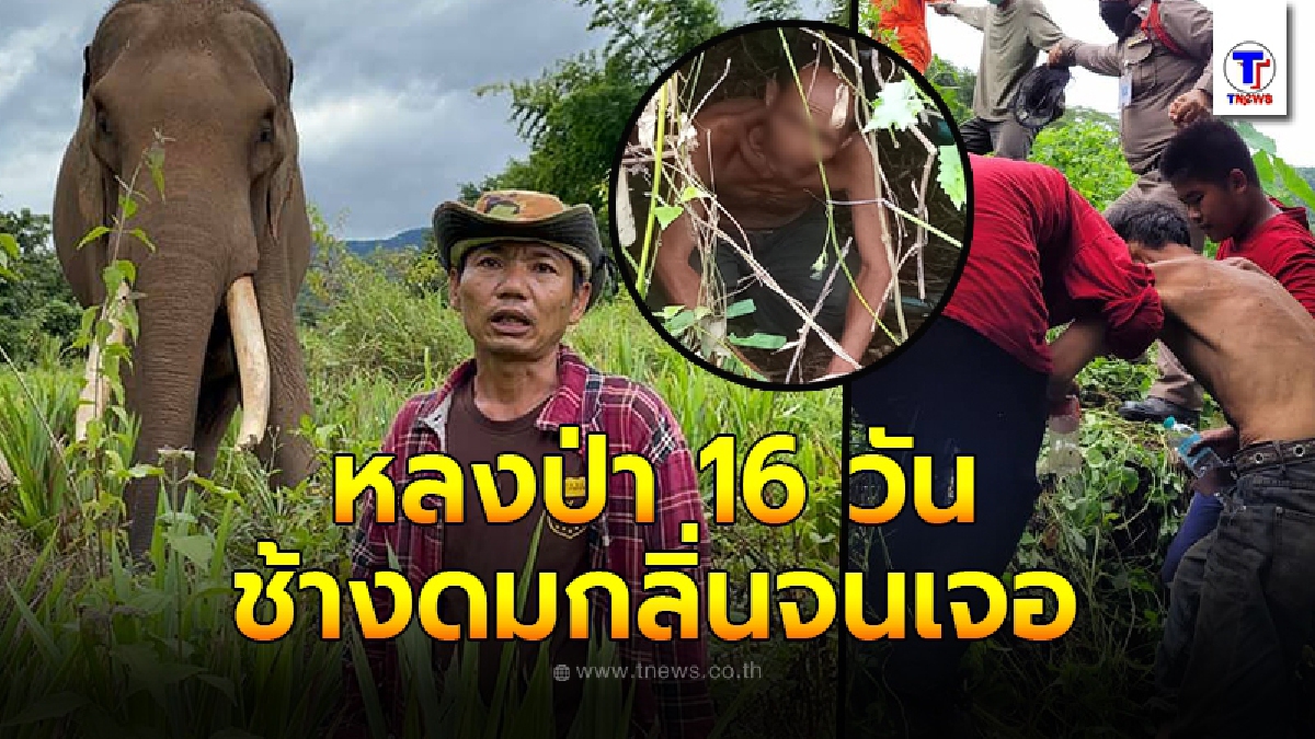 พบแล้ว ลุงวัย 58 หลงป่า 16 วัน รอดปาฏิหาริย์ เพราะเอาช้างมาดมกลิ่นช่วยตามหา