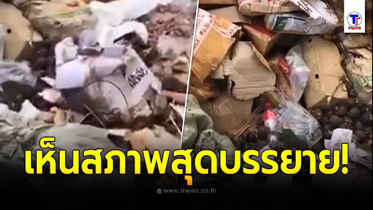 สาวควันออกหู สั่งทุเรียนไม่ได้สักที ตัดสินใจบุกโกดัง จี้ถามพนักงาน บอกเน่าทิ้งไปแล้ว