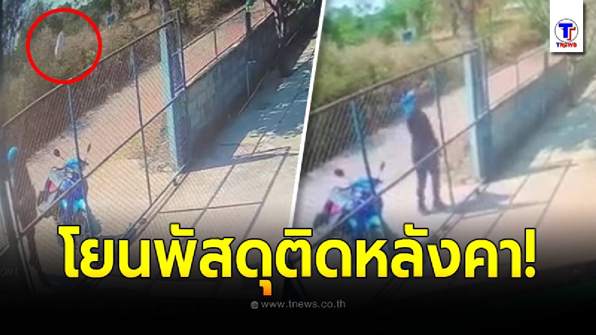 ขนส่งกุมขมับ โยนพัสดุเข้าบ้าน ลอยติดบนหลังตา ได้แต่ยืนงง จะเอาลงมายังไง