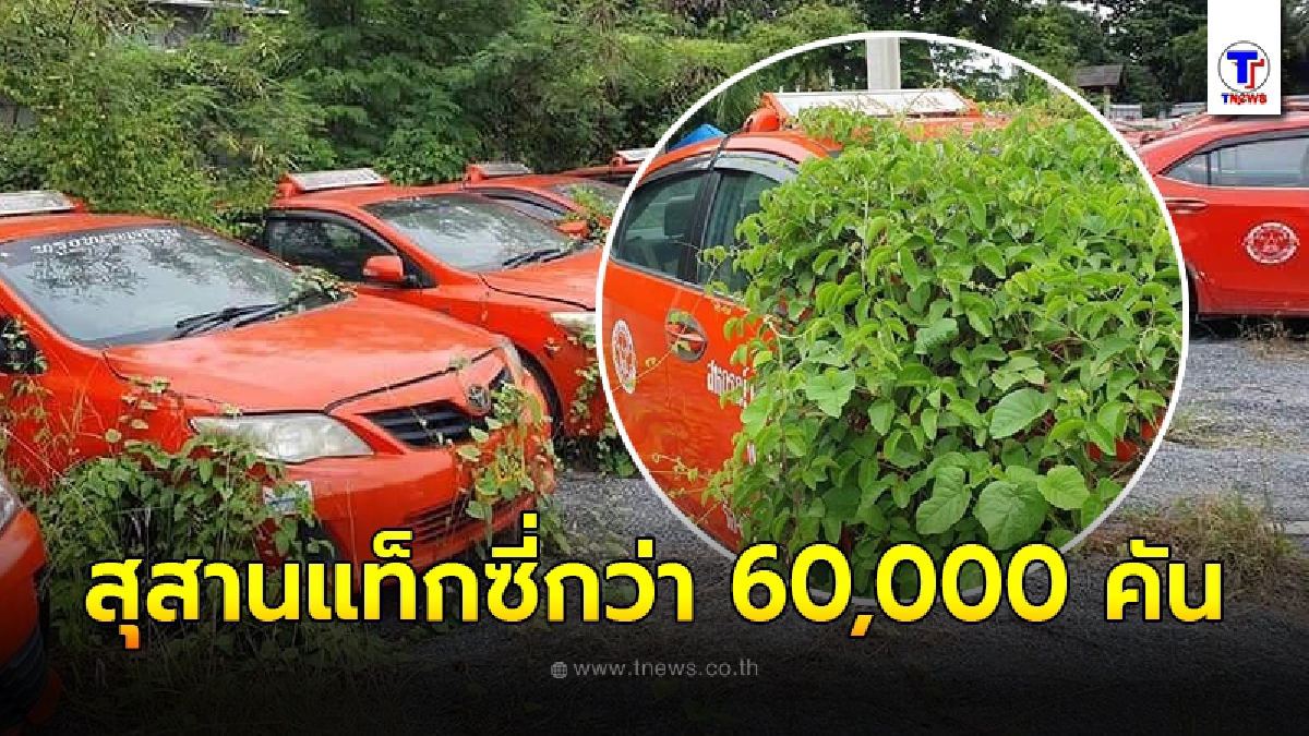 เปิดภาพ "สุสานแท็กซี่" จอดทิ้งร้างนับคันไม่ถ้วน เซ่นพิษโควิดระบาด