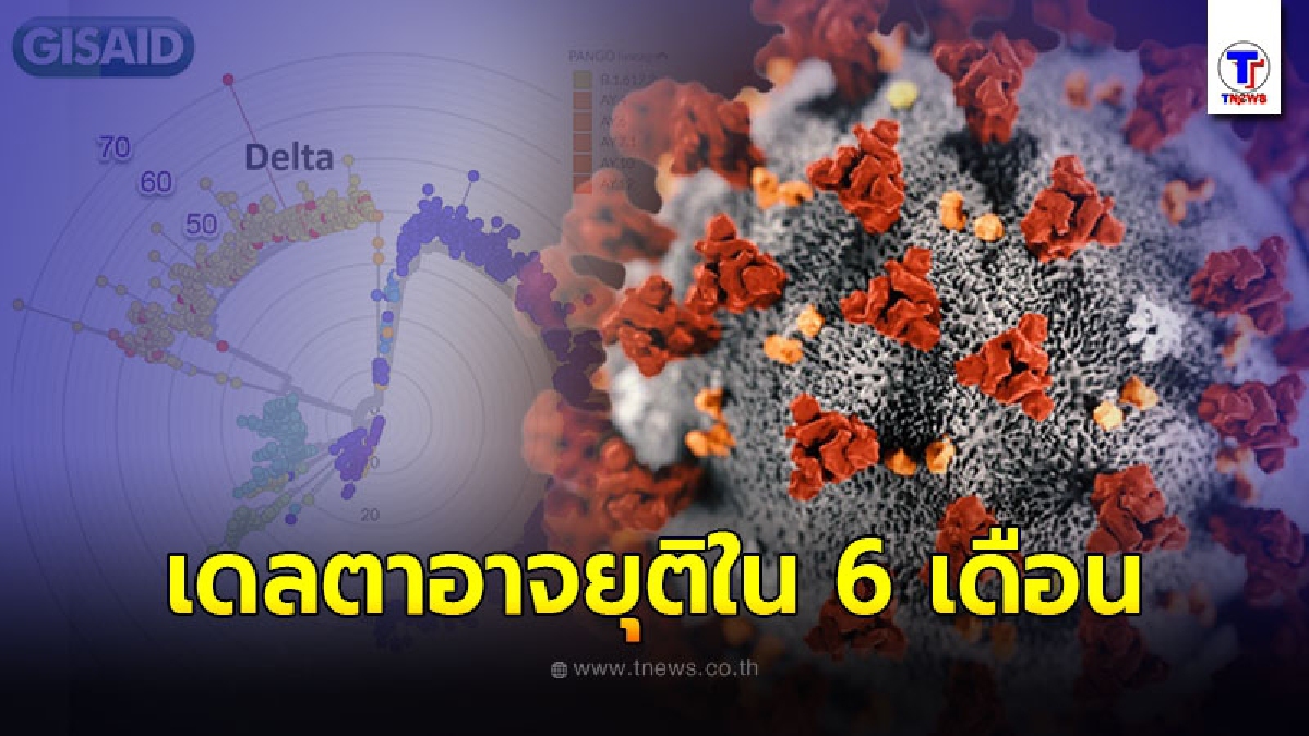 ผู้เชี่ยวชาญเผยข่าวดี โควิด-19 สายพันธุ์เดลตา อาจยุติใน 6 เดือน กลายเป็นโรคประจำถิ่น