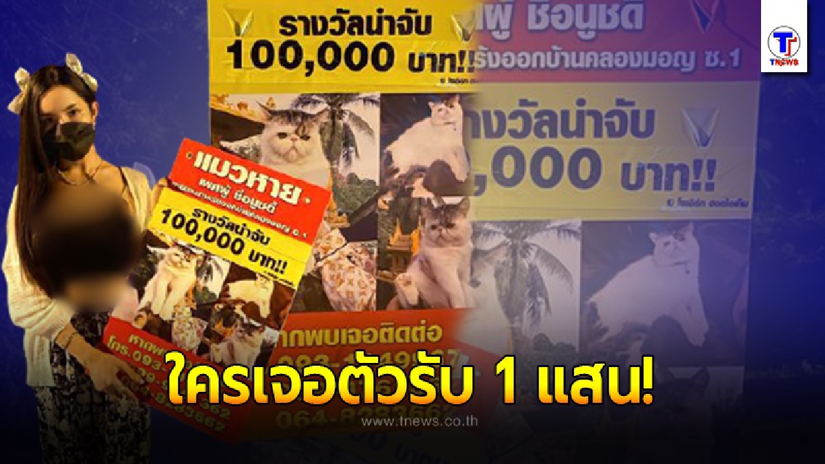 สาวโพสต์ประกาศตามหาแมวหาย ใครพบตัวรับเงินรางวัล 1 แสน