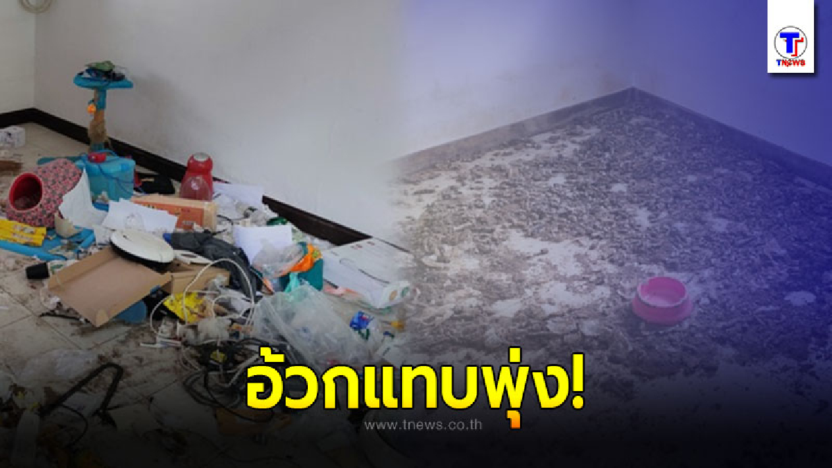 เจ้าของบ้านแทบลมจับ ปล่อยบ้านให้เช่า เปิดเข้าไปเจอห้องขี้หมา ใครกินข้าวอยู่ เลื่อนผ่านไปก่อน