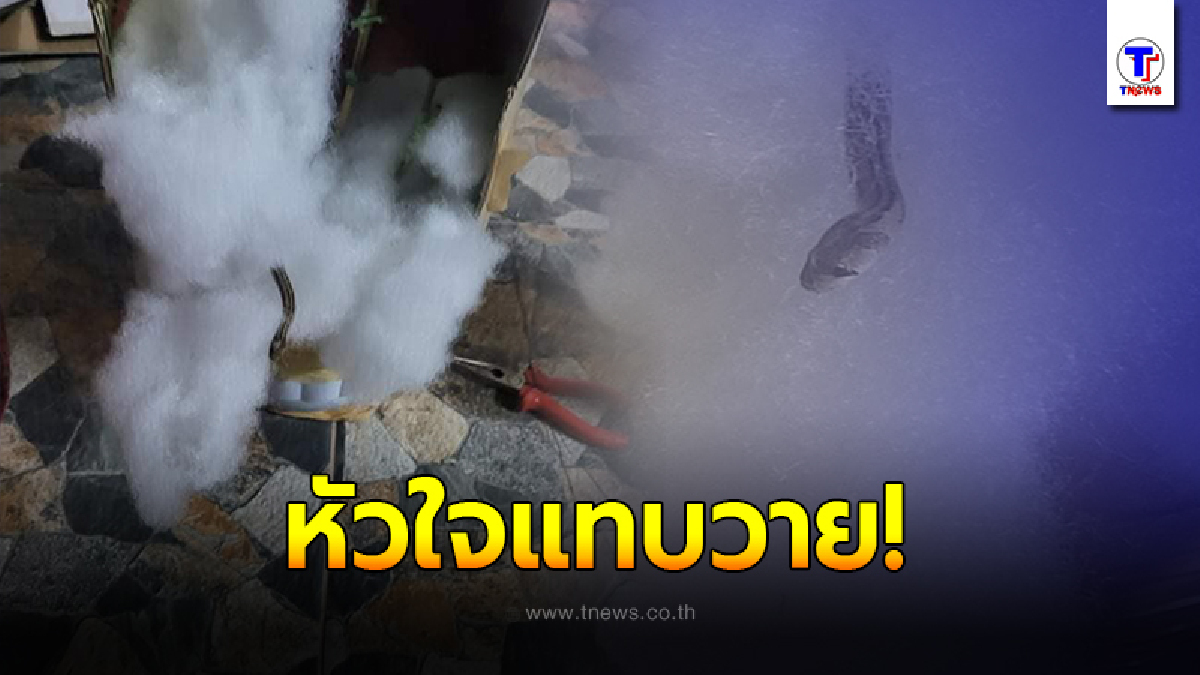 สาวกรี๊ดแตก สั่งซื้อต้นบอนสี ในร้านค้าออนไลน์ กลับได้ของแถมสุดเซอร์ไพรส์