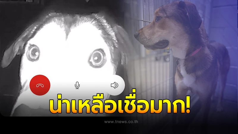 เจ้าหน้าที่งง ได้ยินเสียงกดกริ่งตอนตี 1 เปิดมาสะดุ้ง เมื่อเห็นภาพหน้าประตู