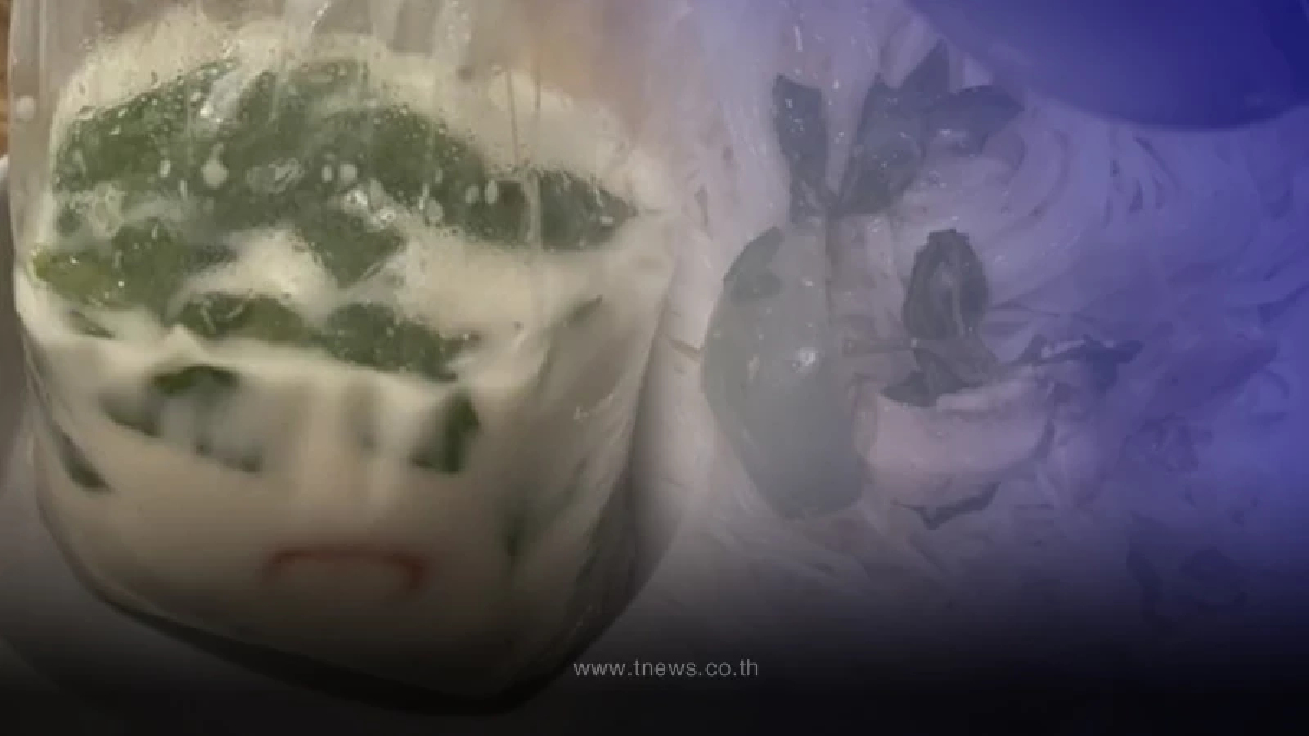 ลูกค้าตะหงิดใจ สั่งแกงเขียวหวาน เทออกมานึกว่าสั่งผิด ชิมดูต้องทิ้งหมดถุง