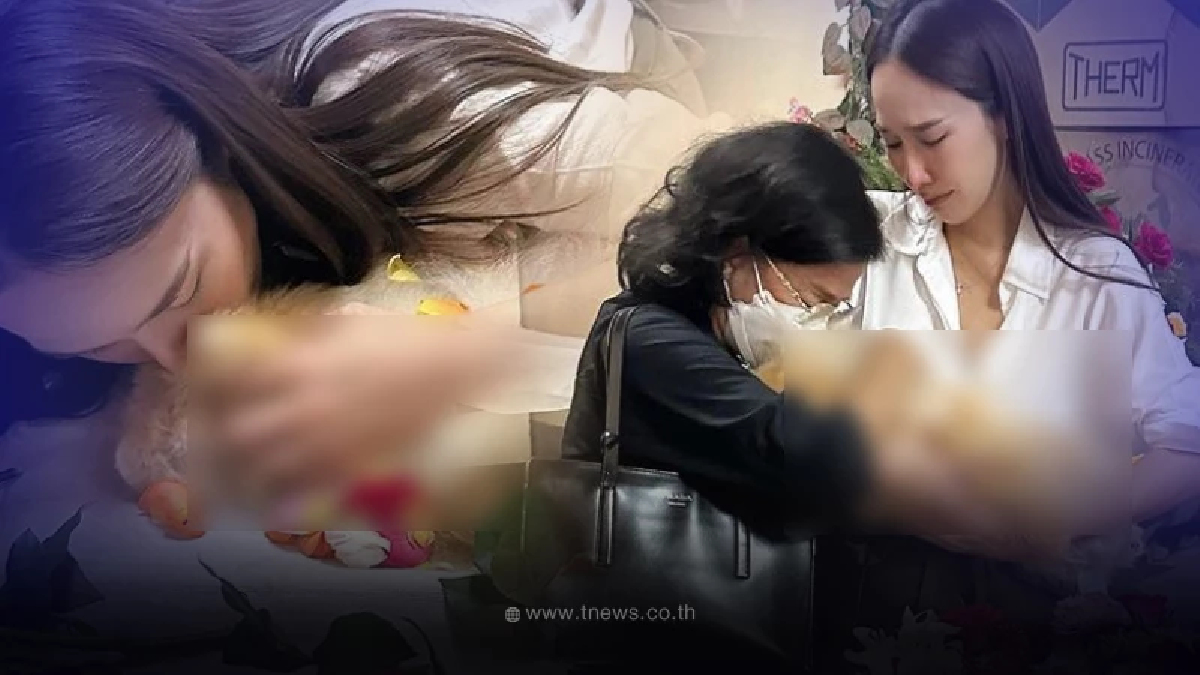 นางเอกดัง อั้ม พัชราภา ร้องไห้แทบขาดใจ กอดร่างไร้วิญญาณส่ง น้องปอมปอม