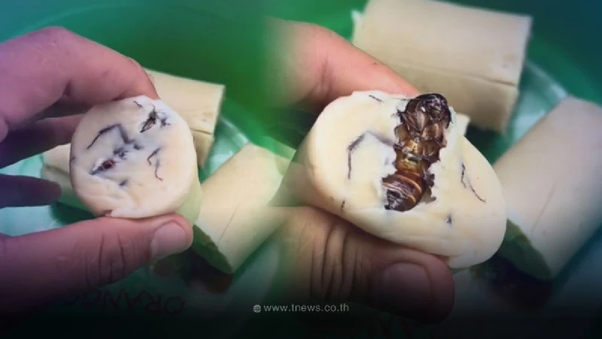 หนุ่มแชร์คลิปหั่นหมูยอเจอแมลงสาบอยู่ข้างใน โยนทิ้งแทบไม่ทัน
