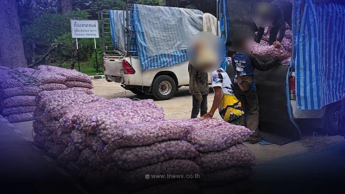 จับคาถนน เครือข่ายกระเทียมเถื่อน 17ตัน มูลค่าเกือบ 2ล้าน