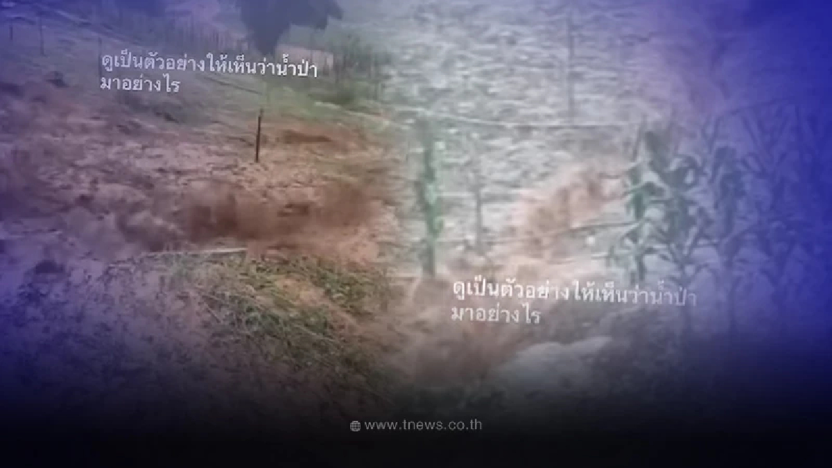 เปิดคลิปต้นทางน้ำป่า จากสายธารเล็กๆ รวมตัวเป็นมวลน้ำเส้นใหญ่ไหลลงภูเขา