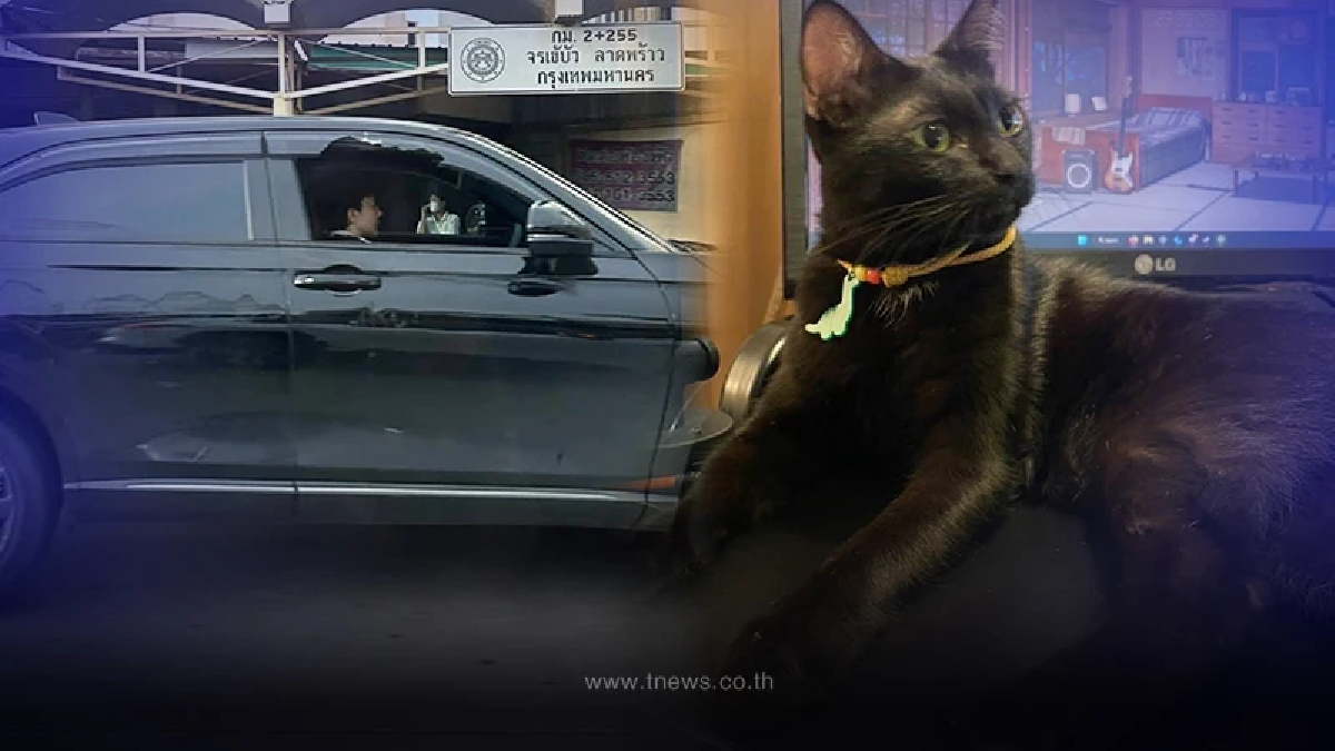 จับได้แล้ว โจรขโมยรถป้ายแดงห้างดังรัชดา แต่ไม่เจอแมวสีดำ