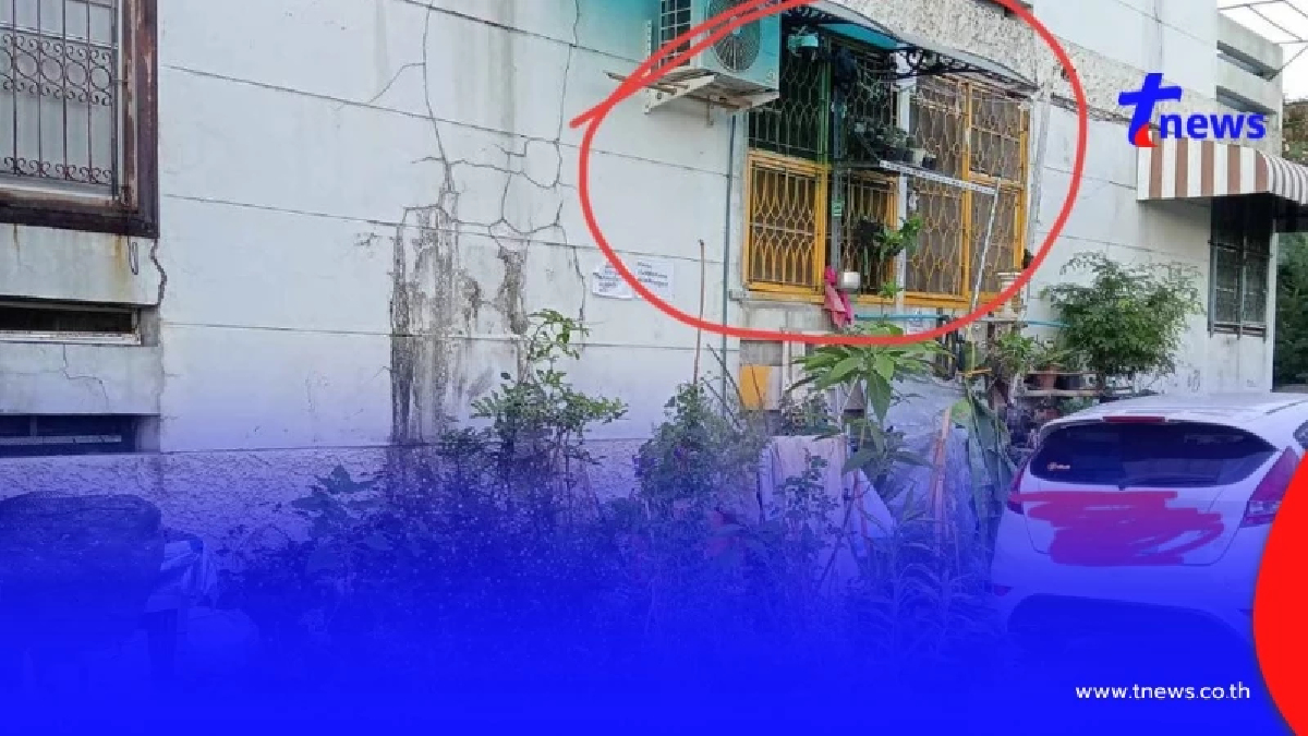 สาวสุดงง เพื่อนร่วมคอนโดปลูกไม้เลื้อยรุกล้ำ ใช้เท้าเหยียบ กลับถูกแจ้งความ