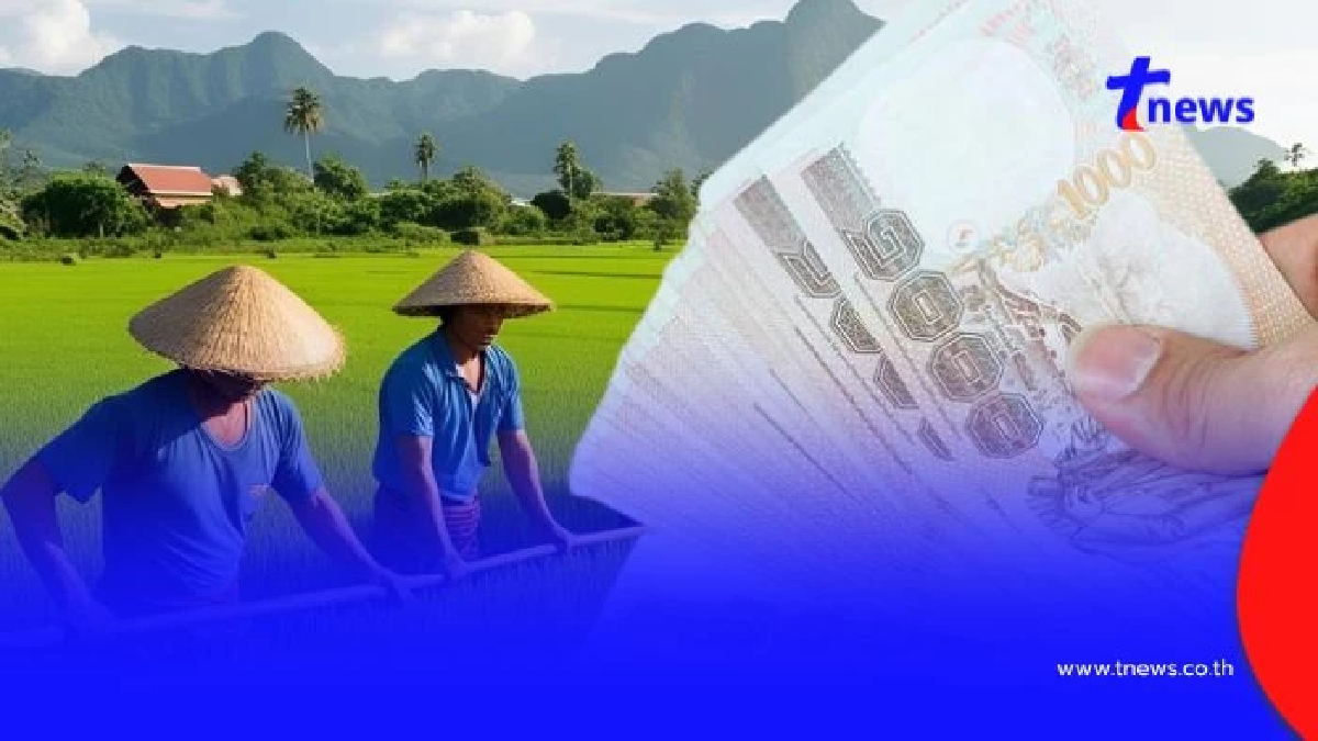 วิธีขึ้นทะเบียนเกษตรกร 2568 รับเงินช่วยชาวนาไร่ละ 1,000 บาท ปลูกข้าวนาปรัง
