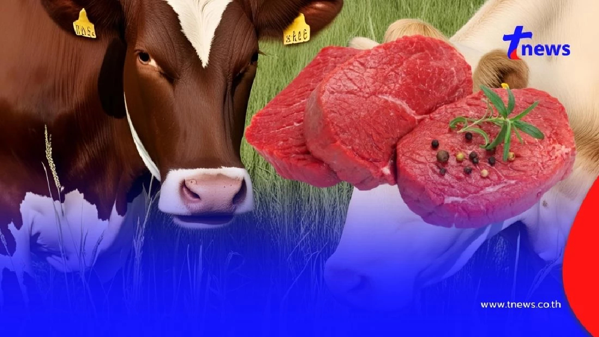 น่ากลัวมาก เปิดพื้นที่ประกาศเขตโรคระบาด โคเสียชีวิต งดบริโภคเนื้อวัว