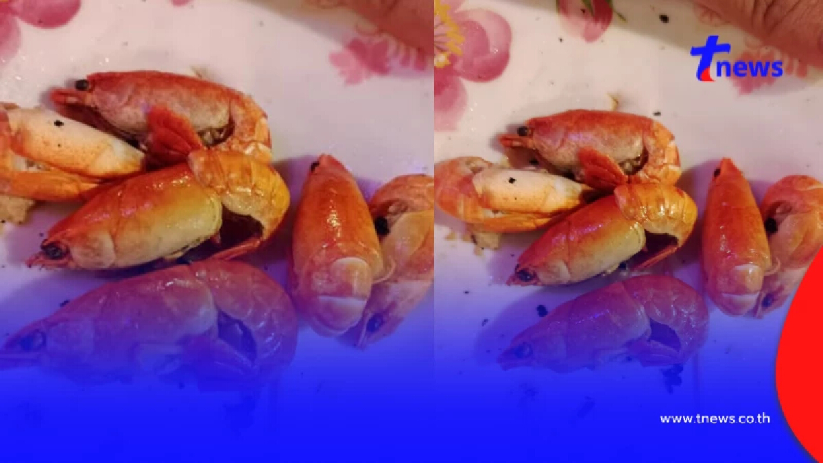 ตัวอะไรกันแน่ กุ้งแปลกในร้านหมูกระทะ ผู้รู้เฉลย ที่แท้ไม่ธรรมดา