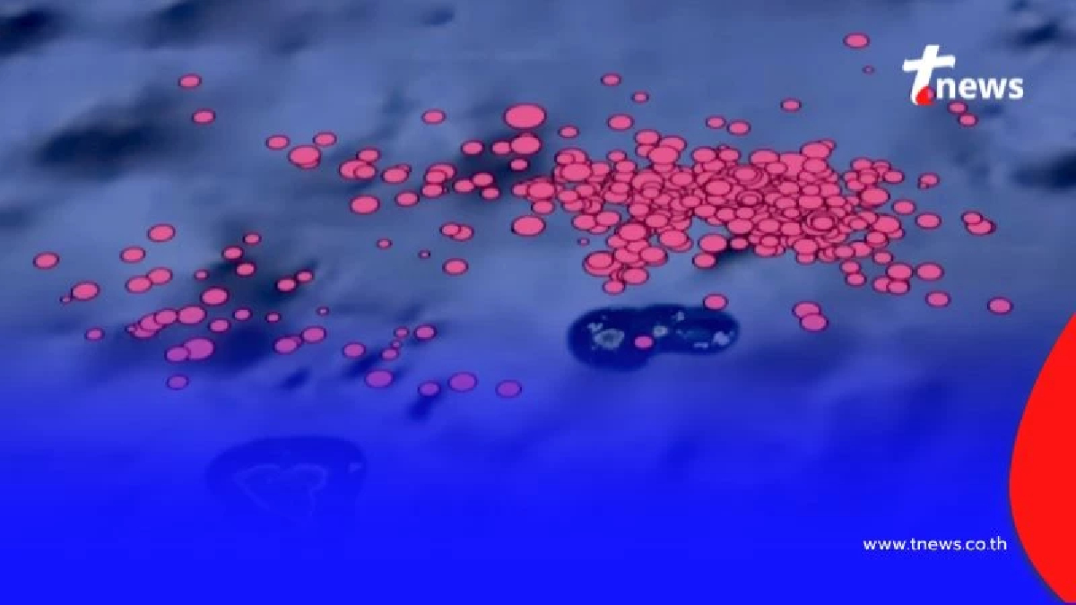 จับตาใกล้ชิด ญี่ปุ่นเผชิญแผ่นดินไหว 500+ ครั้ง รอบหมู่เกาะโทคาระ จ.คาโกชิมะ